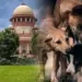 Supreme-Court-Stray-Dog