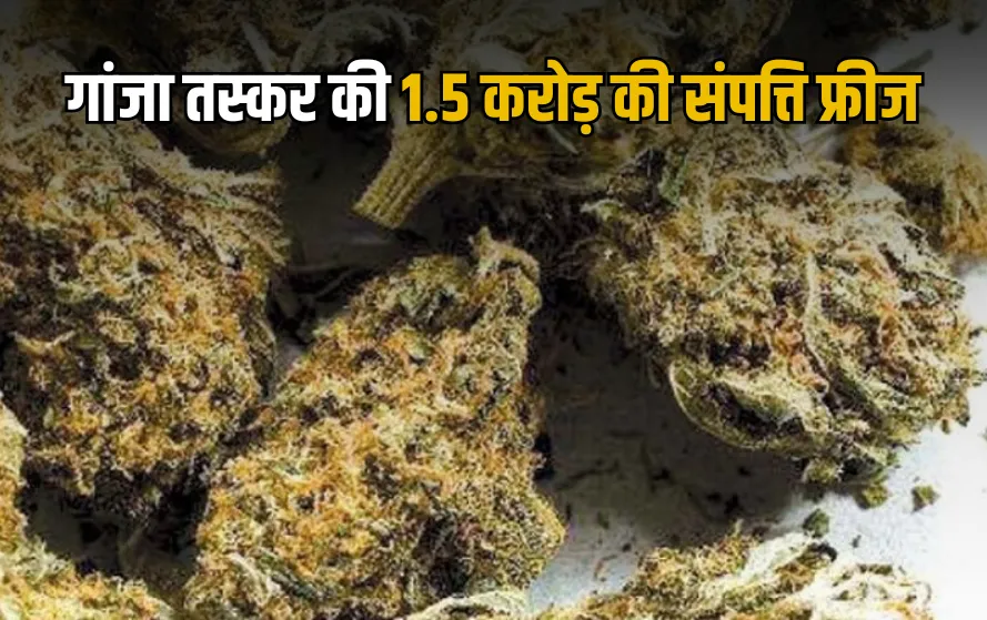 ganja taskar