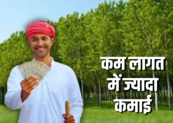 Low Investment High Profit Business Idea: