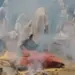 Sadhu Saint Andolan