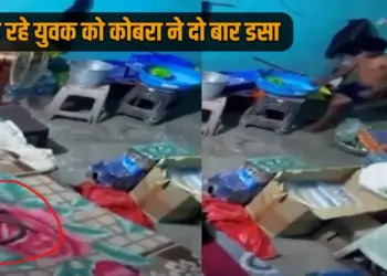 UP Baghpat cobra bites teenager twice died hospital viral video
