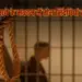UP Banda husband murder wife hanged 3 month old son died hunger zxc