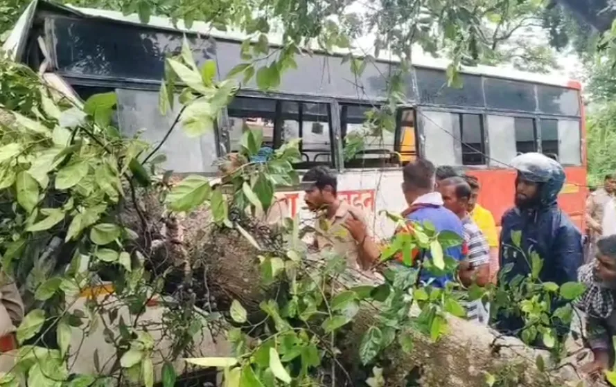 UP Barabanki Road Accident 5 dead including driver big tree fell hindi news zxc (1)