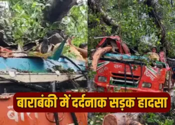UP Barabanki Road Accident 5 dead including driver big tree fell hindi news zxc