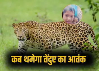 UP Bijnor Leopard Attack 10 year old girl child forest department negligence zxc