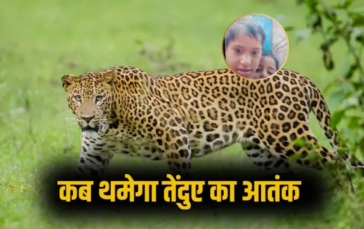UP Bijnor Leopard Attack 10 year old girl child forest department negligence zxc