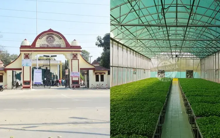 UP DDU Gorakhpur University high-tech nursery
