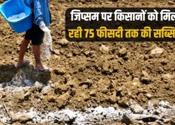 UP Government give 75 percent subsidy farmers Jipsum purchase zxc