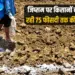 UP Government give 75 percent subsidy farmers Jipsum purchase zxc