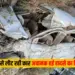 Hardoi Accident News: उत्तर प्रदेश के हरदोई जिले में एक दर्दनाक सड़क हादसे में बारात से लौट रही कार खाई में पलट गई, जिसमें छह लोगों की मौत हो गई और पांच गंभीर रूप से घायल हो गए।