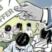 UP Kaushambi Jobs Scam Education Department zxc