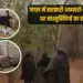 UP Lalitpur government officers employees attacked bees CDO fainted stings zxc