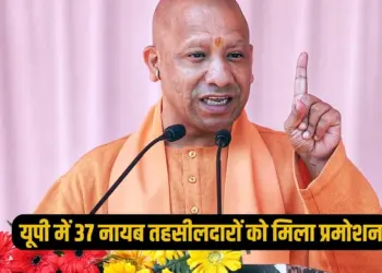 UP Lucknow 37 Naib tehsildar promoted to Tehsildar list news update zxc