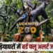 UP Lucknow Bird Flu alert Gorakhpur tigress dead zoo close 7 days