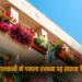 UP Lucknow keeping flower pots on blaconies banned LDA Order zxc