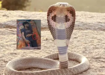 UP Meerut Man Dies Snake Bite 10 Times