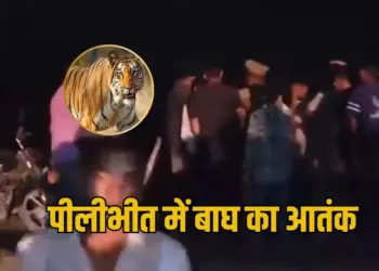 UP Pilibhit Tiger Attack Video Farmer zxc