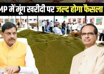 MP Moong kharidi higher price CM Mohan Yadav Agriculture Minister Shivraj Singh Chouhan