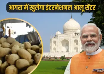 Union Cabinet Meeting announcement Agra international potato centre hindi news zxc