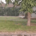 Gorakhpur Zoo Wildlife Summer Cooling Treatment