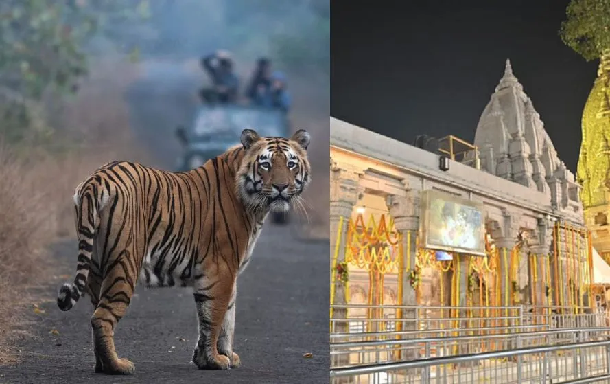 Uttar Pradesh Eco Tourism Development Board Fam Trip 2025