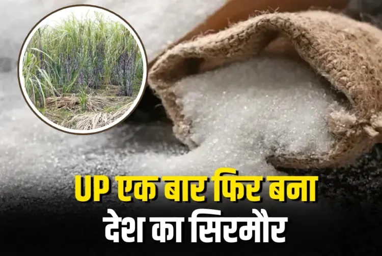 Uttar Pradesh Sugar Production 2025