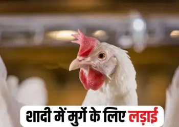 Vidisha Marriage Fight