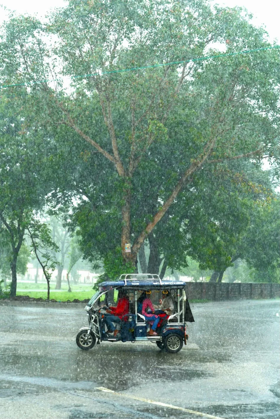 MP Monsoon Update