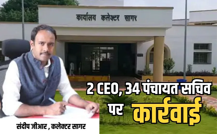 MP News