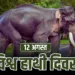 World Elephant Day 12 august