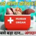 World Organ Donation Day Cadaver Transplant donate kidney hindi news