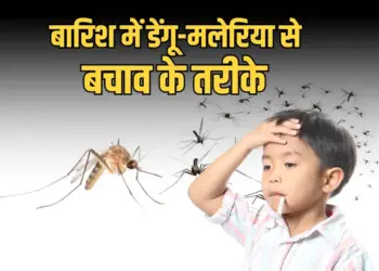 Baarish Mein Dengue Malaria Se Kese Bache