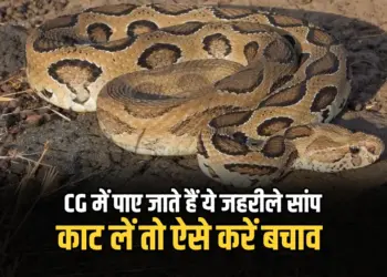 Chhattisgarh Snake Species