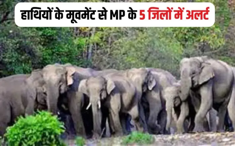 MP Elephant Movement Alert