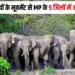 MP Elephant Movement Alert