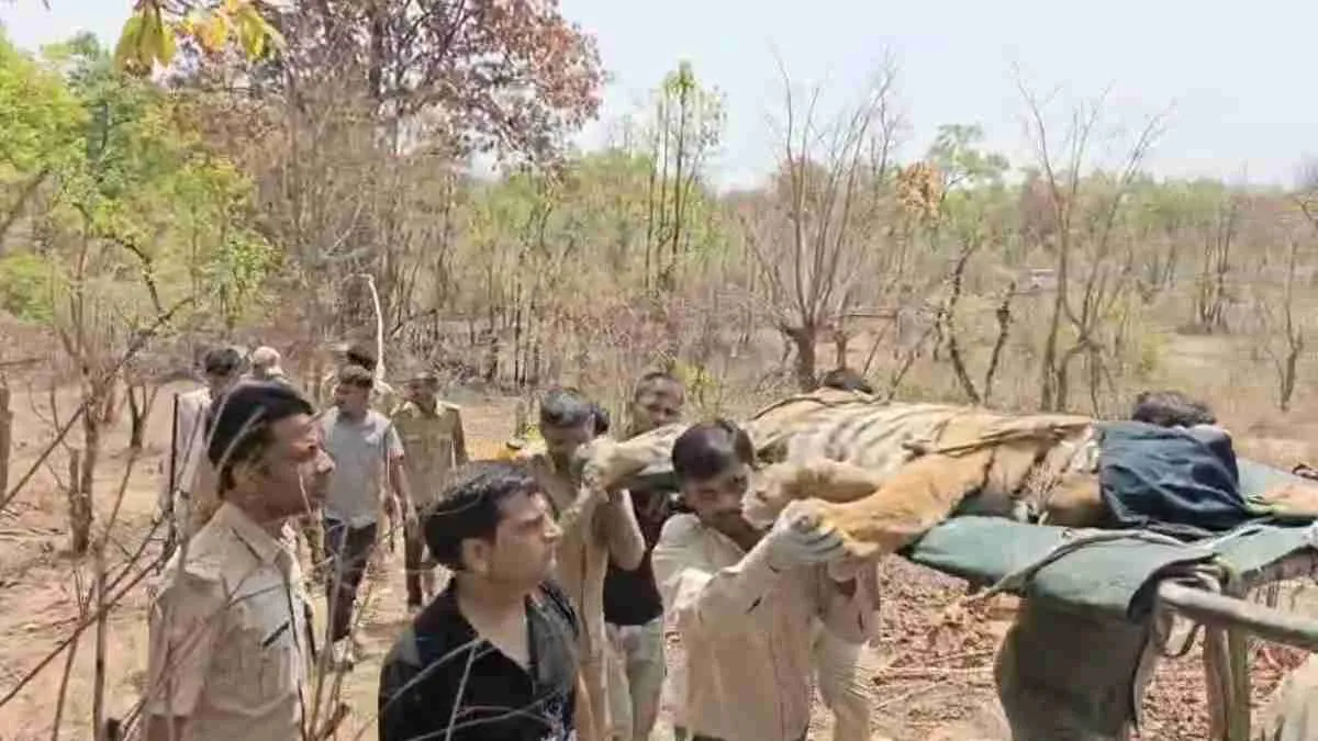 bandhavgarh-tiger-reserve