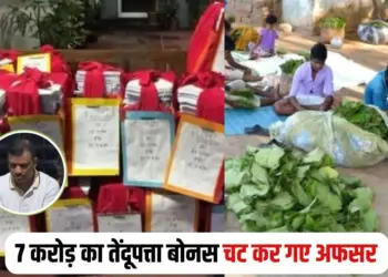 CG Tendupatta Bonus Scam