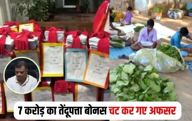 CG Tendupatta Bonus Scam