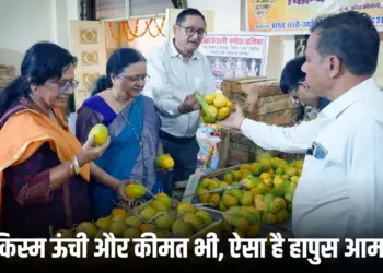 bhopal arera colony hapus aam mela 2025
