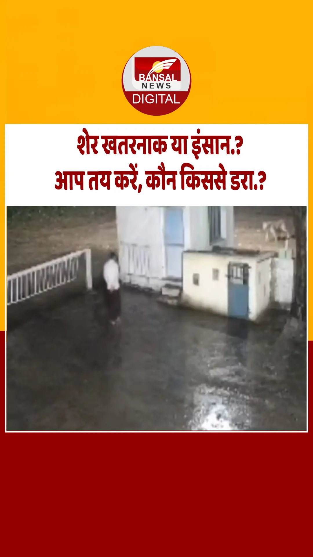 गुजरात: आराम से टहल रहा था शख्स, शेर को देखते ही लगा दी दौड़, देखें वीडियो