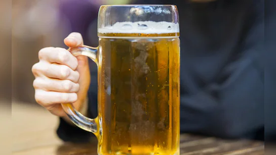 Chhattisgarh Microbrewery Rules