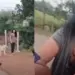 chhattisgarh dharsiwa poultry farm owner daughter attacks woman with dogs
