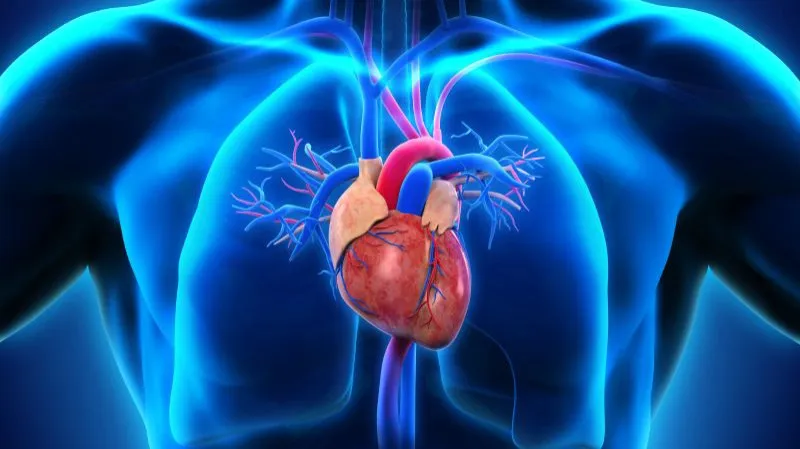 Black Salt Side Effects on Heart