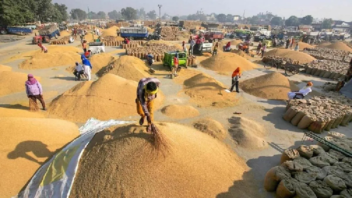 CG Kisan Dhan Kharidi News