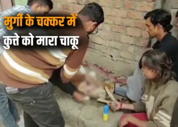 Ujjain Animal Cruelty Case