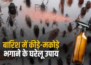 Baarish Me Kide Kaise Bhagaye
