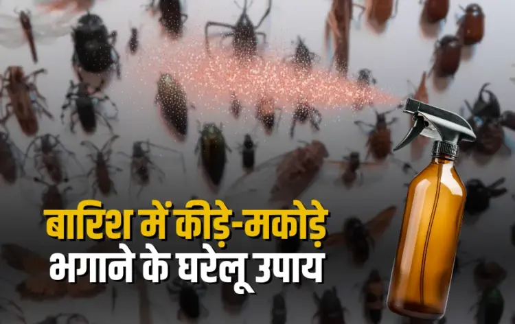 Baarish Me Kide Kaise Bhagaye
