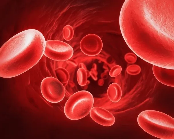 Beetroot Health Benefits hemoglobin