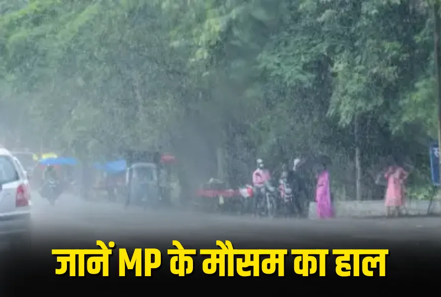 MP Weather Update