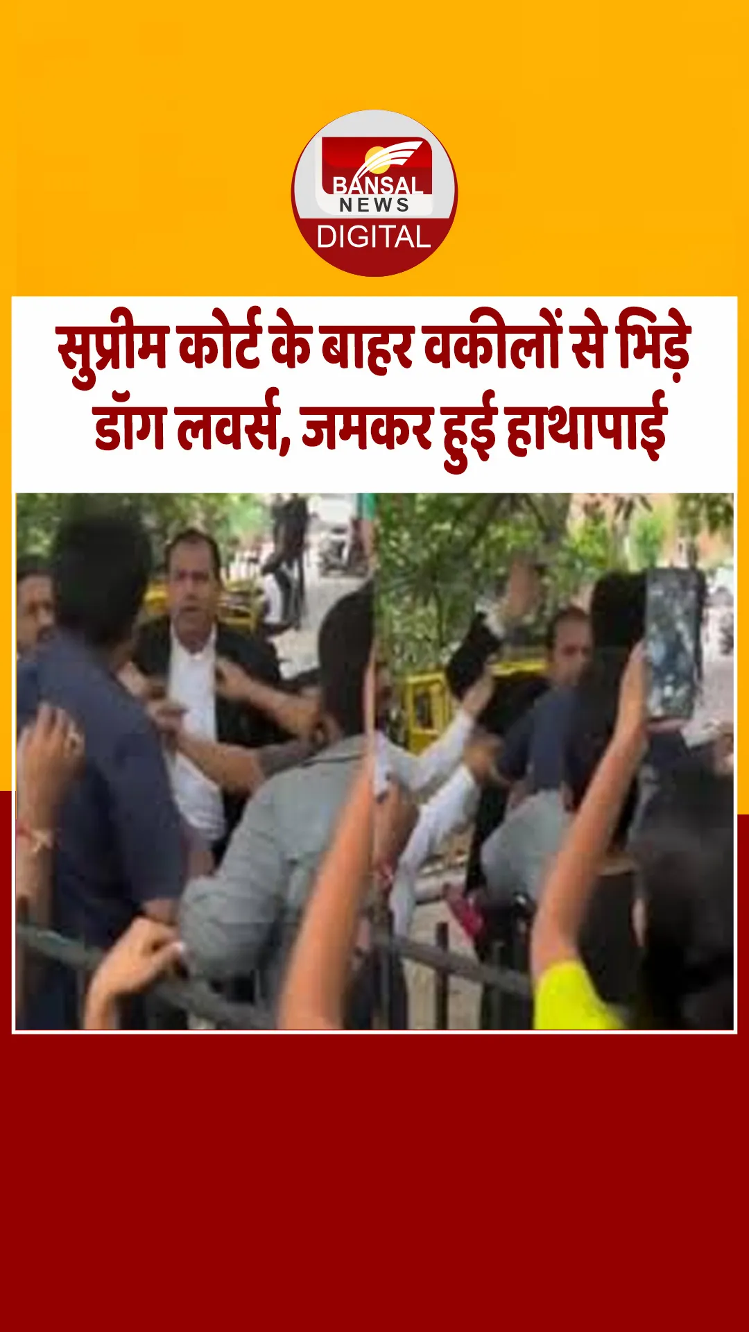सुप्रीम कोर्ट के बाहर वकील और डॉग लवर्स की मारपीट का वीडियो सामने आया, डॉग लवर्स कोर्ट के बाहर प्रदर्शन करने पहुंचे थे